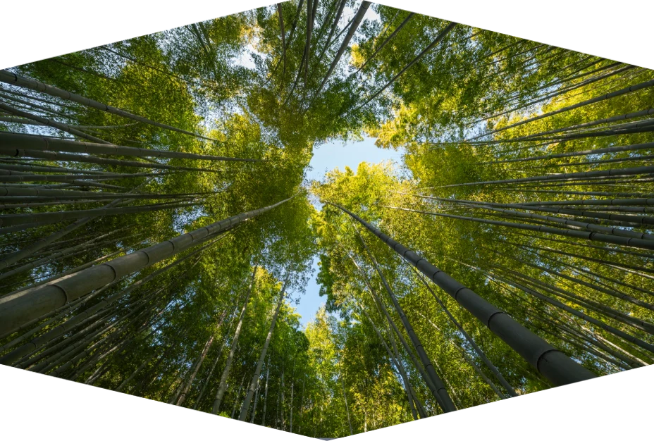 Rse entreprise de forge